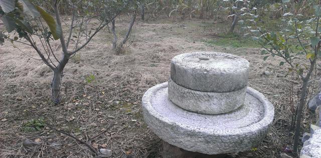 还记得电影《青松岭》吗？如今那里火了
