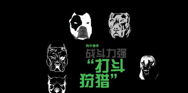 被狼吃掉的狗，狗到底能不能打的过狼？
