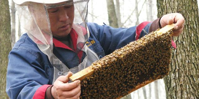 蜂蜜造假花样百出，不进坑的或许只有不吃蜂蜜的和蜂农自己了!