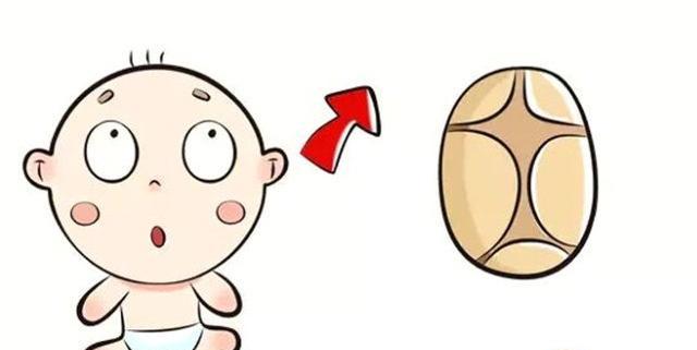注意 , 宝宝的囟门,比你想象中的还重要