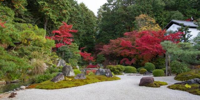 你要的京都1日游懒人包已到货,请查收!赏枫最