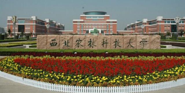 985工程大学一般都集中在帝都北京、魔都上海