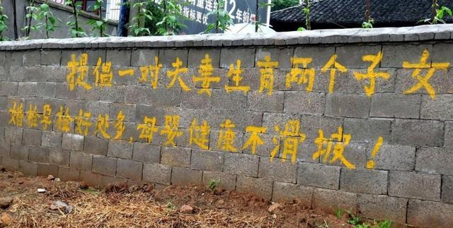 农村"全面二胎"的宣传标语,太搞笑!