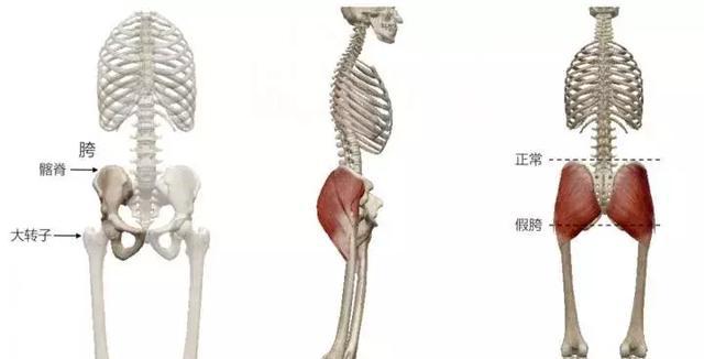 张天爱只有160CM凭什么敢吹成168CM?身高造假竟然都能圈粉