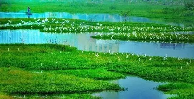 世界湿地日|天台始丰溪国家湿地公园邀你共谱一曲湿地