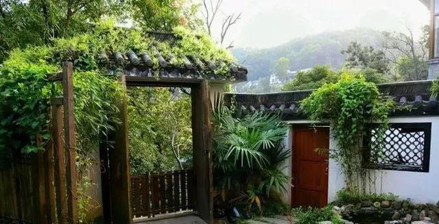 杭州|飞鸟集:坐拥清风明月,独揽鸟语花香