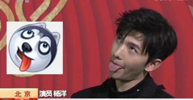 杨洋春晚后台演绎超萌哈士奇表情包,吐舌头做鬼脸害羞