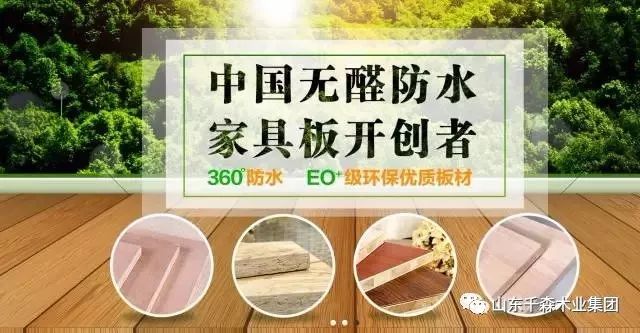 千森木业E0胶合板系列企业标准化专家论证会