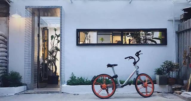 厦门48小时|逛遍思明区,找到几家攻略上没有本