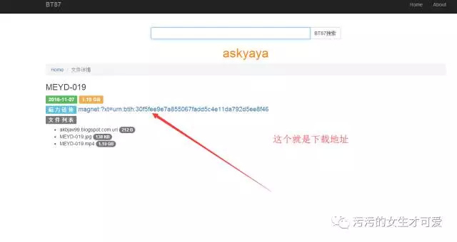 番号怎么用