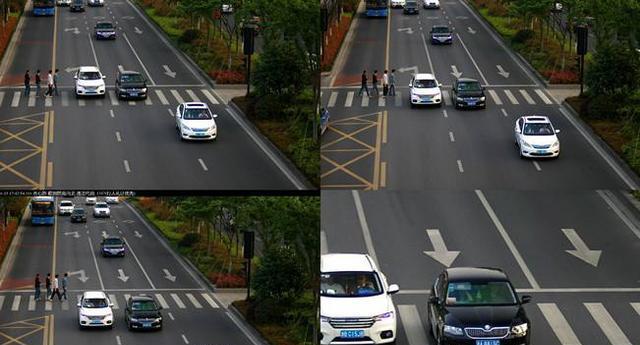 新交规礼让行人我们到底该如何去做?看完后