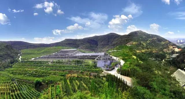 清徐平泉村的逆袭:曾经的穷山村,如今的生态