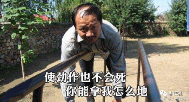手机大神谢添加也有官配了?果然虐狗要从娃表情图片素材苹果动态包表情腾飞图片