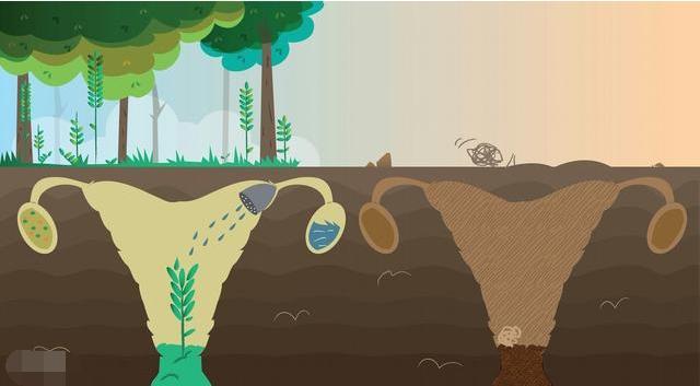 结婚十年没生小孩, 丈夫责怪妻子不下蛋, 医生检