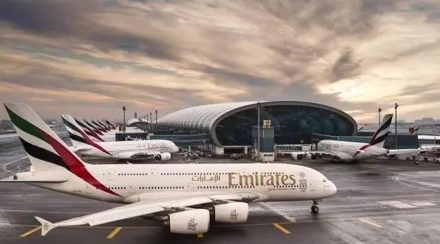 830块游迪拜,还住5星级酒店?!是真的…