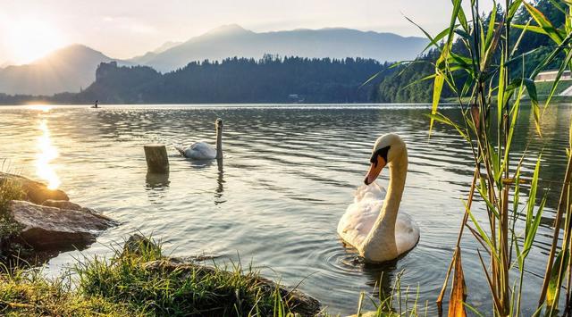 八字如何解读家族家庭关系?