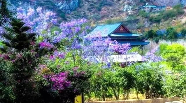 四川的5月，即将被这10片花海秘境包围，赶紧收藏！