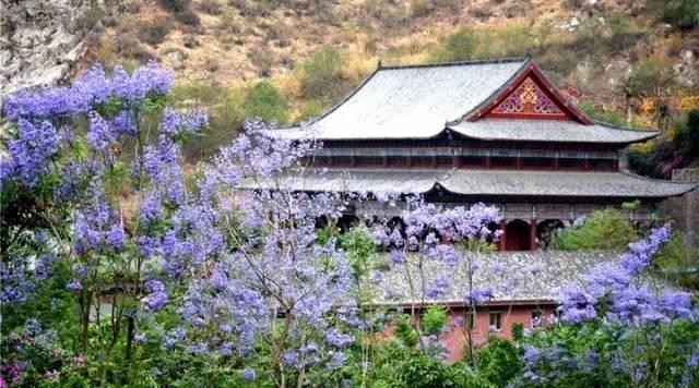 四川的5月，即将被这10片花海秘境包围，赶紧收藏！