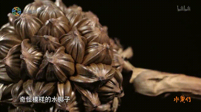 《舌尖上的中国3》口碑扫地, 却成全了小众美