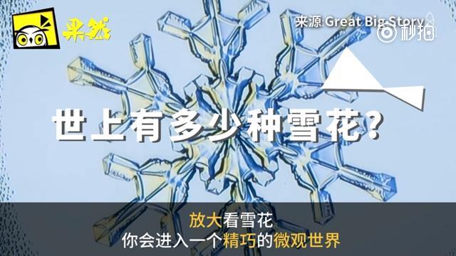 世上那么多雪花 偏偏没有这两种