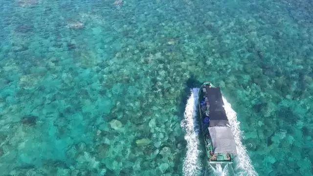 比美马代的中国无人仙境, 这个小岛, 比去烂了的