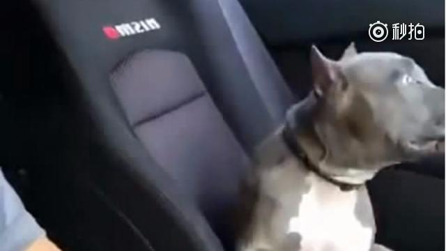 第一次坐跑车的你，就像这样子