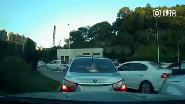 一辆白色的SUV插队行驶，没想到直接撞上有脾气的女司机