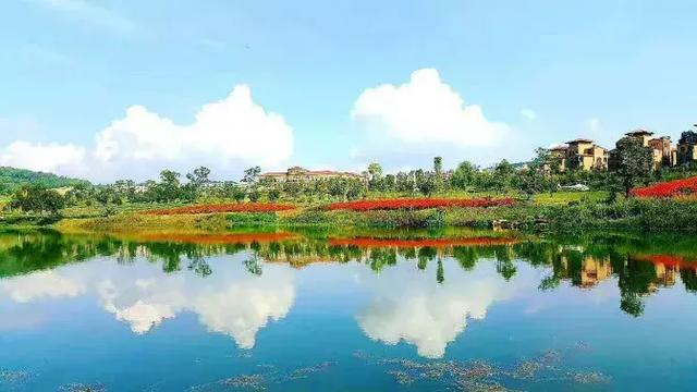 中国的普罗旺斯,这个欧式小镇美爆了