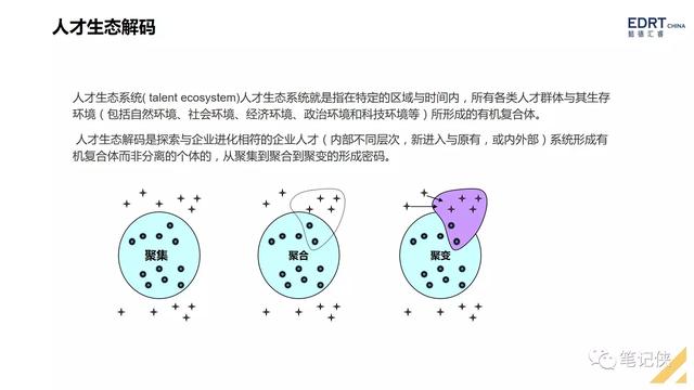 手把手教你搭建人才梯队结构
