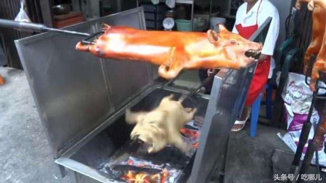 越南街头的烤乳猪,30斤的猪火上烤,中国网友:快