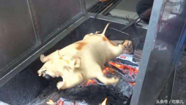 越南街头的烤乳猪,30斤的猪火上烤,中国网友:快