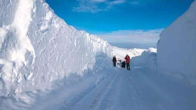新疆冬天的大雪,震撼了!