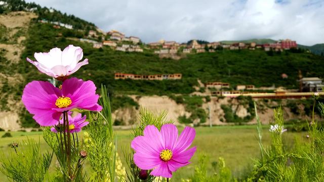 佛家六大经典禅语,体悟智慧与慈悲!