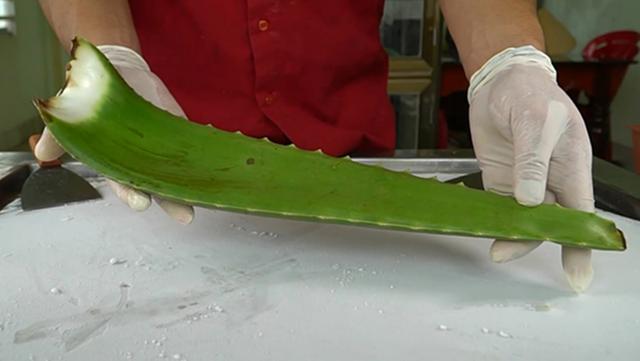 老外拿了个多肉植物的叶子,把它炒成冰淇淋,真