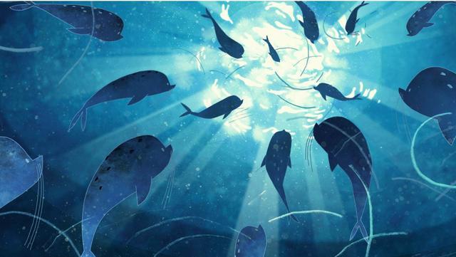 聊斋里的《白秋练》是电影《大鱼海棠》的原型？