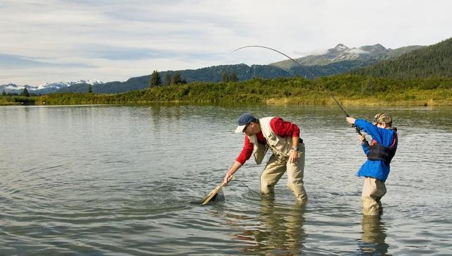 夏天钓鱼的时候气压太低了怎么办?