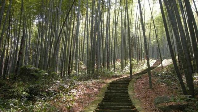 大竹县境内景点推荐