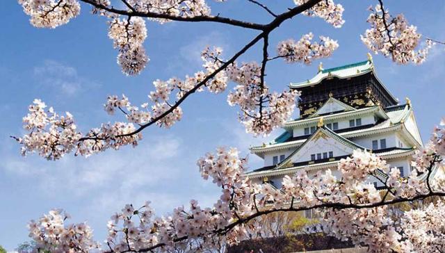 白本护照,没有出境记录,先去哪些国家比较容易