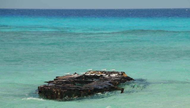 世界水域率最高的城市:水域比陆地面积大15万