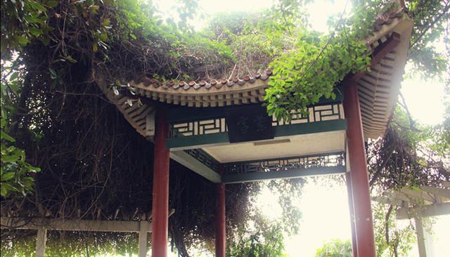 盘点重庆校园十大约会胜地 你知道哪些?