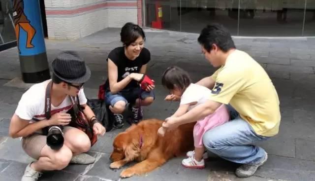 你知道专业宠物训练师都在干嘛吗？