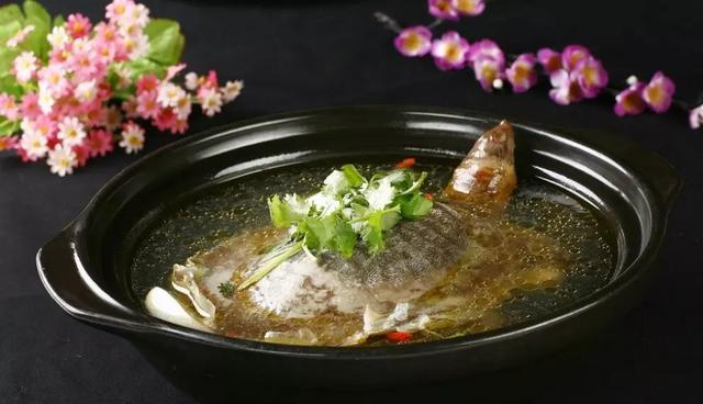 冬季正是吃甲鱼的大好时机!