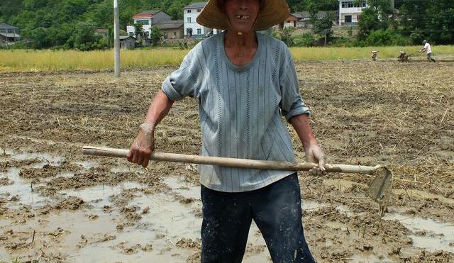 农村人调便秘很实在,城里人争先效仿,没想到该