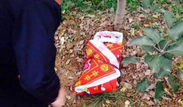 我十八岁捡回一弃婴,受尽村里人冷眼,二十年后