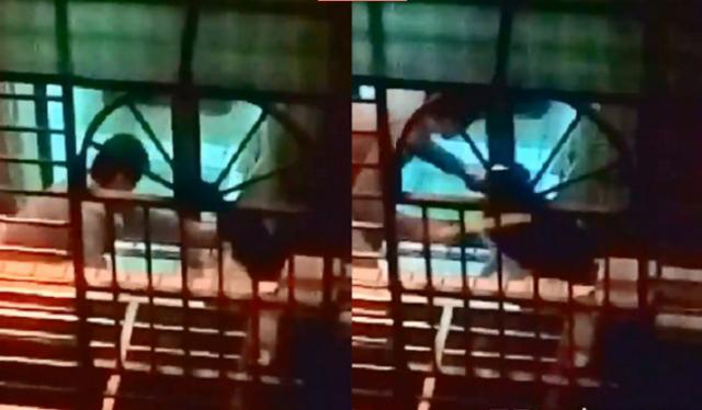 无辜狗狗遭捏嘴痛打，痛苦哀嚎声让爱妈凌晨破门救狗：来了就要救