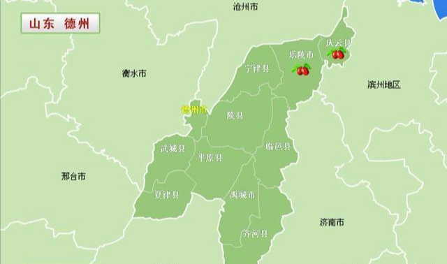 陵县前孙镇翟家村有多少人口