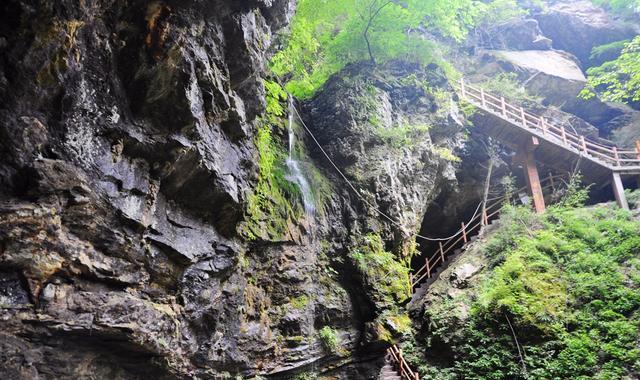 寻找藏匿大山之中的珍馐 陕西美食探之旅秘略