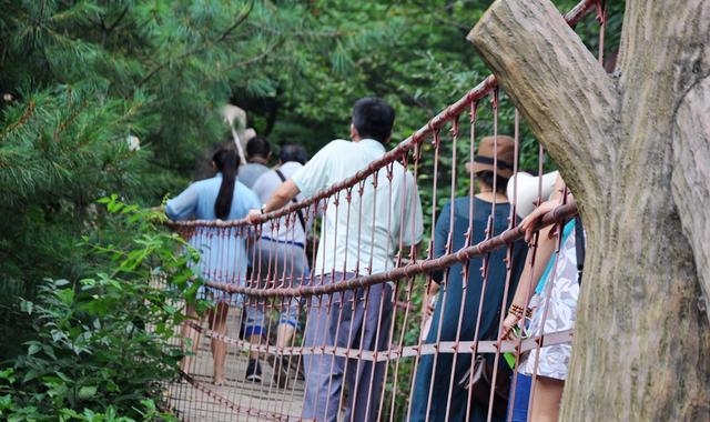 寻找藏匿大山之中的珍馐 陕西美食探之旅秘略