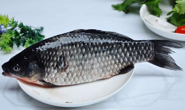 罗非鱼与鲫鱼,你更喜欢吃哪一种呢?绿孔雀食物图片