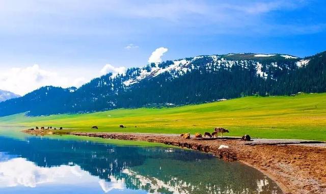 郑州坐火车到新疆最低312!托运爱车还能自驾游